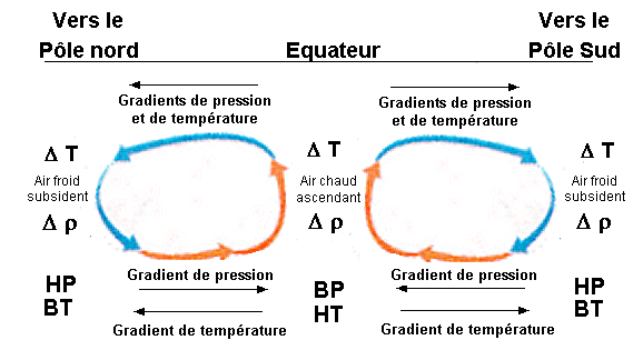 convection.gif