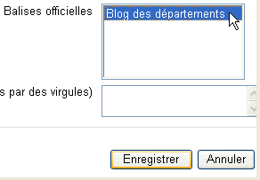 Moodle-blog-enseignant 06.gif